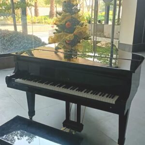 piano sojin en guadalajara